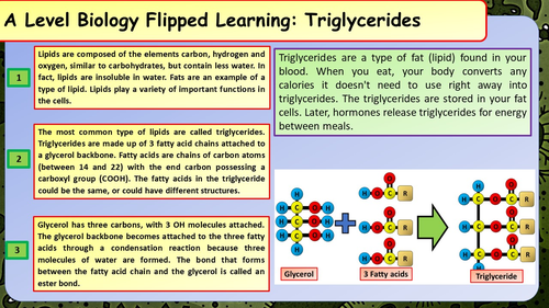 A Level Biology Biological Molecules Summary Sheets | Teaching Resources