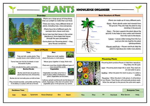 Plants Complete Primary Science Knowledge Organisers Bundle Teaching Resources 0249