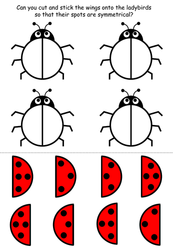 Ladybird symmetry | Teaching Resources