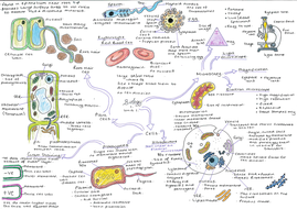 BTEC Applied Science Level 3/BTEC Criminal Investigation Unit 1 Biology ...