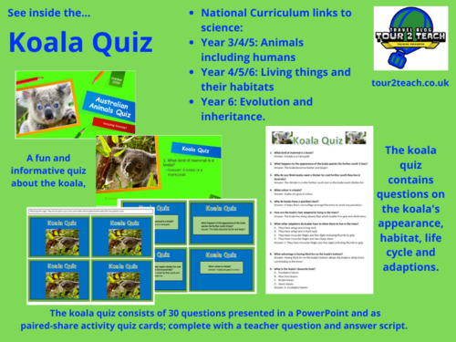 Science Living Things And Their Habitats Koala Quiz Teaching Resources