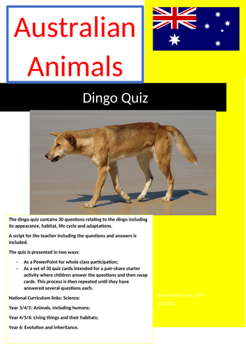 Science: Living things and their Habitats: Dingo Quiz | Teaching Resources