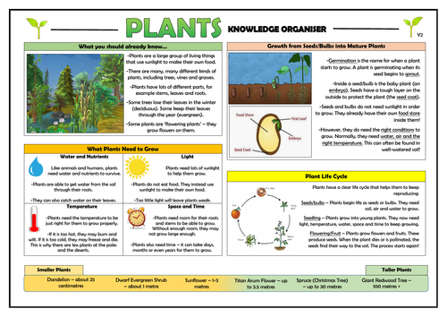 Plants Complete Primary Science Knowledge Organisers Bundle Teaching Resources 5954