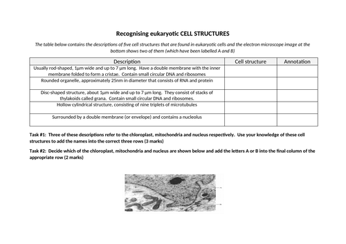 Cell structure REVISION (CIE International A-level Biology Topic 1 ...