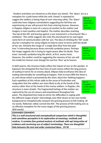 kamikaze and poppies comparison essay grade 9