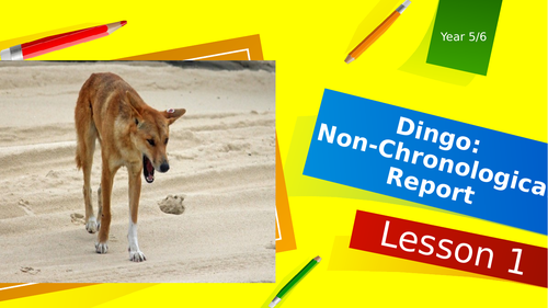 Non-chronological Report Planning: Year 5/6: Australian Animals: Dingo
