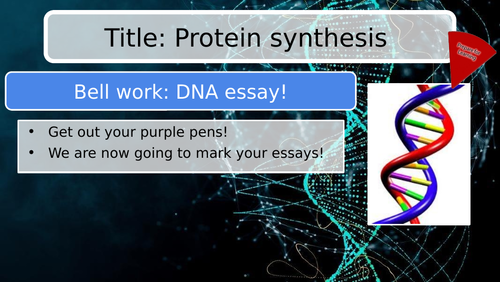 nucleic acids web assignment
