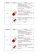 Cardiovascular System - Edexcel GCSE PE (9-1) | Teaching Resources
