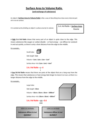 docx, 25.74 KB