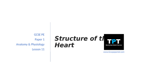 GCSE PE - Structure of the Heart | Teaching Resources
