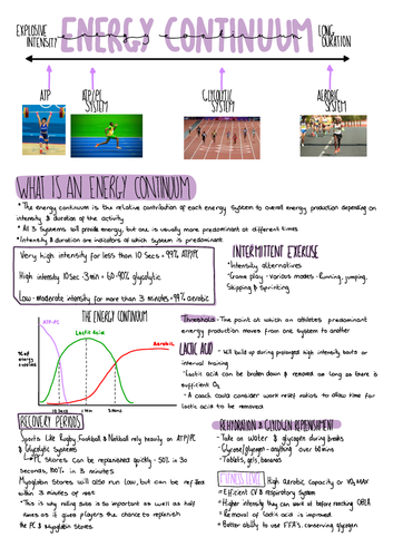 A-level PE, OCR Energy Continuum