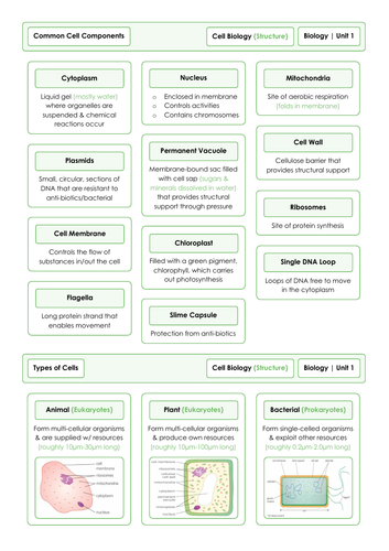 aqa-gcse-biology-paper-1-notes-triple-teaching-resources