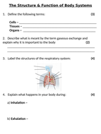 structure and function of body systems year 7