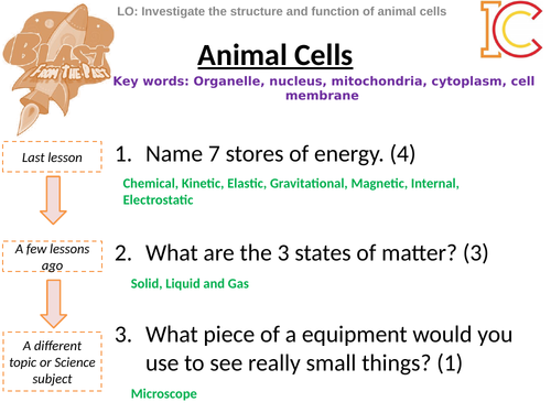 Cell Biology KS3 - Animal Cells | Teaching Resources