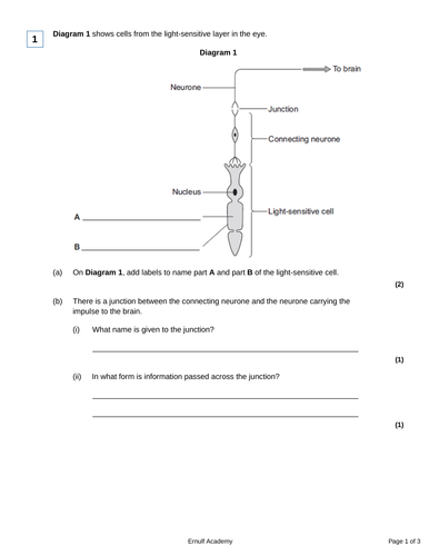 pdf, 45.06 KB