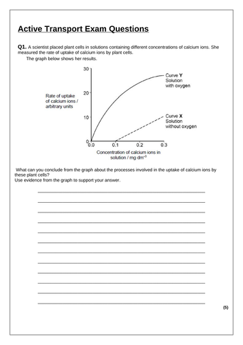 biopact-cellular-transport-transfection-technology