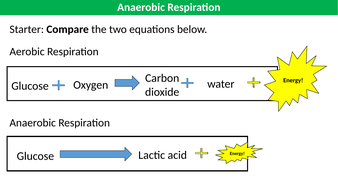 Anaerobic Respiration | Teaching Resources