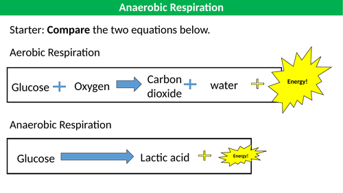 Respiration Equation Aerobic Science Anaerobic Respiration