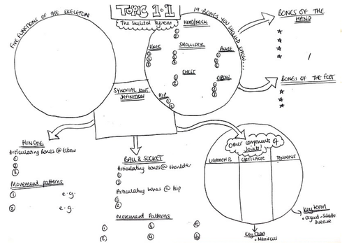 OCR GCSE PE Section 1 Revision Resource Teaching Resources
