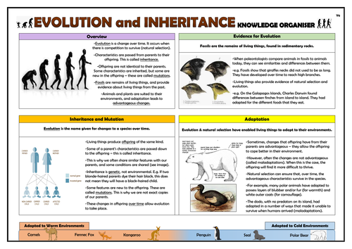 Year 6 Evolution and Inheritance Knowledge Organiser!