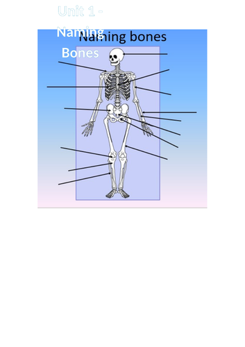 Unit 1 - 1.1 - Understanding the Skeletal System - All Lessons and Test