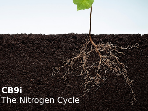 Edexcel CB9i The Nitrogen Cycle