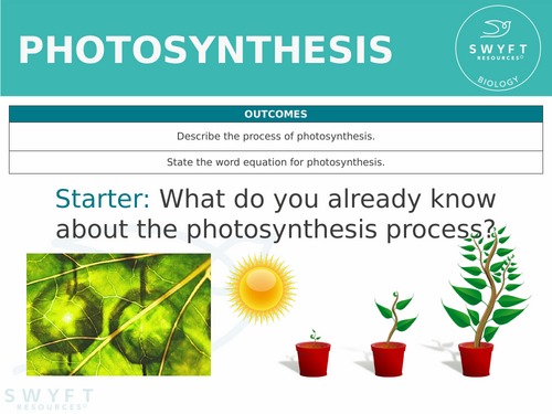 KS3 ~ Year 8 ~ Photosynthesis