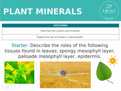 KS3 ~ Year 8 ~ Plant Minerals