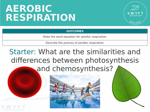 KS3 ~ Year 8 ~ Aerobic Respiration