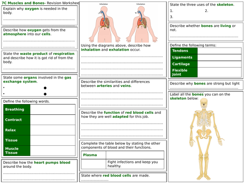 Exploring Science Year 7- Revision Worksheets | Teaching Resources