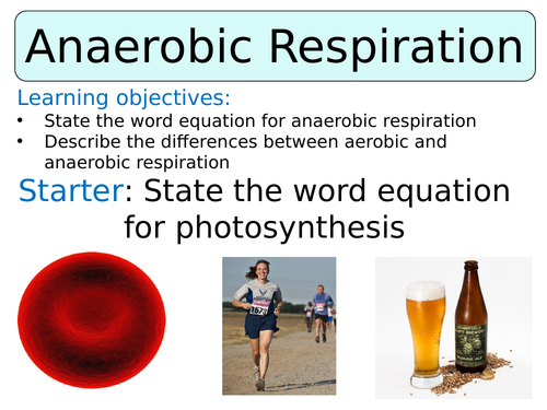 KS3 ~ Year 8 ~ Anaerobic Respiration