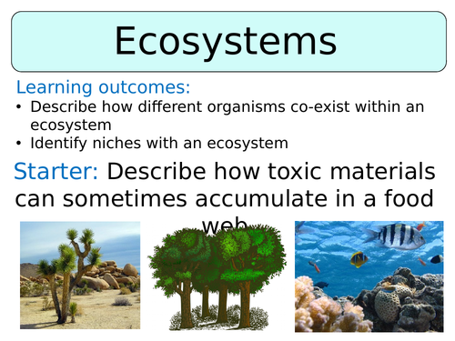 KS3 ~ Year 8 ~ Ecosystems