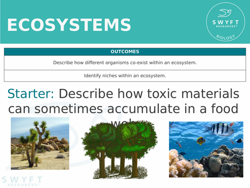 KS3 ~ Year 8 ~ Ecosystems