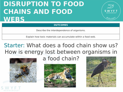 KS3 ~ Year 8 ~ Disruption to Food Chains & Webs