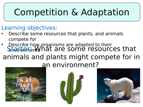 KS3 ~ Year 8 ~ Competition & Adaptation