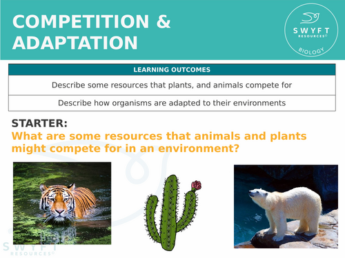 KS3 ~ Year 8 ~ Competition & Adaptation