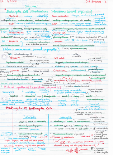OCR A Level Biology Cell Structure Revision Poster | Teaching Resources