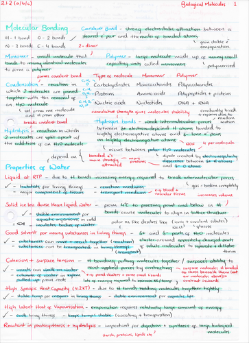 Human biology coursework plus ocr 08 picture