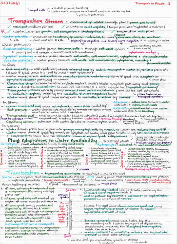 OCR A Level Biology Transport in Plants Revision Poster | Teaching ...