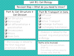 GCSE Biology Revision Mind Map: Cell Structure | Teaching Resources