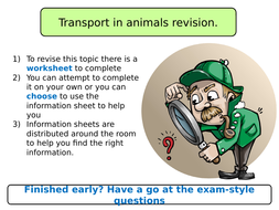Cardiac cycle KS5 worksheet, exam qs & answers | Teaching Resources