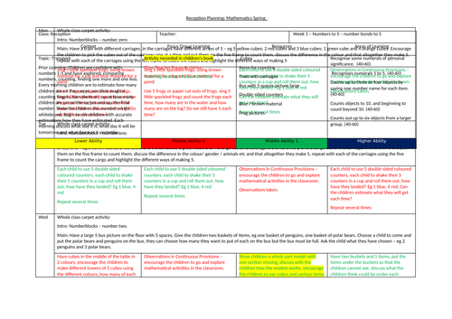 Spring 1 Maths Planning Numeracy EYFS Recepion | Teaching Resources