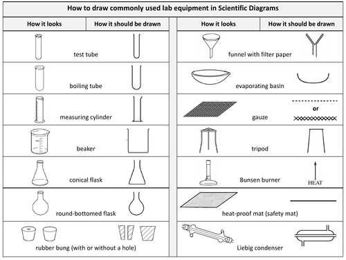 Science Practical Skills - Equipment and Safety - Full lesson KS3 ...