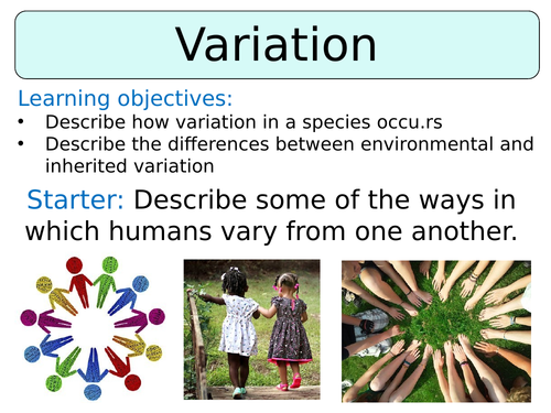 KS3 ~ Year 8 ~ Variation