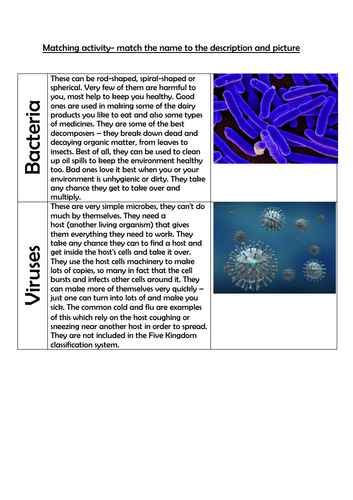 Science- Living Things And Their Habitats- Microorganisms Year 6 