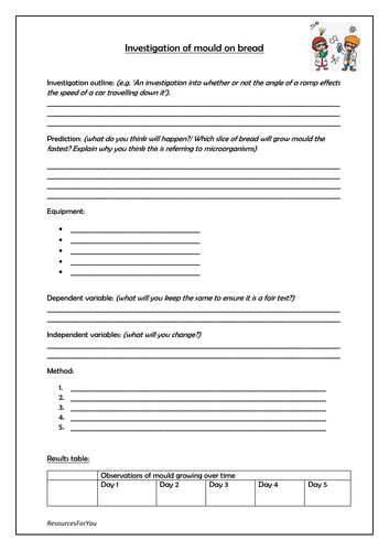 mould experiment year 6