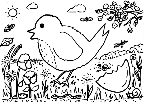 Spring Robin Colouring Sheet