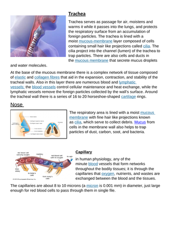 KS3 Gas Exchange Teaching Resources