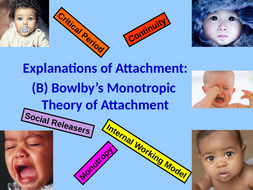 Explanations For Attachment: Learning Theory And Bowlby's Monotropic 