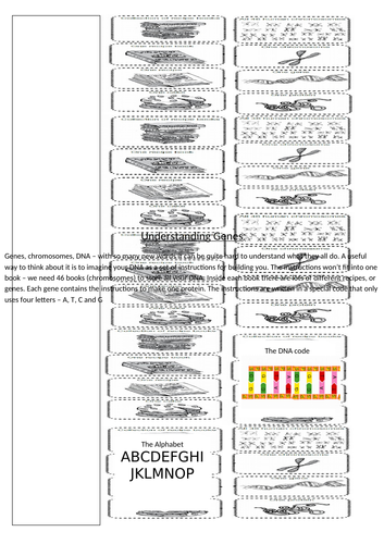 docx, 601.68 KB